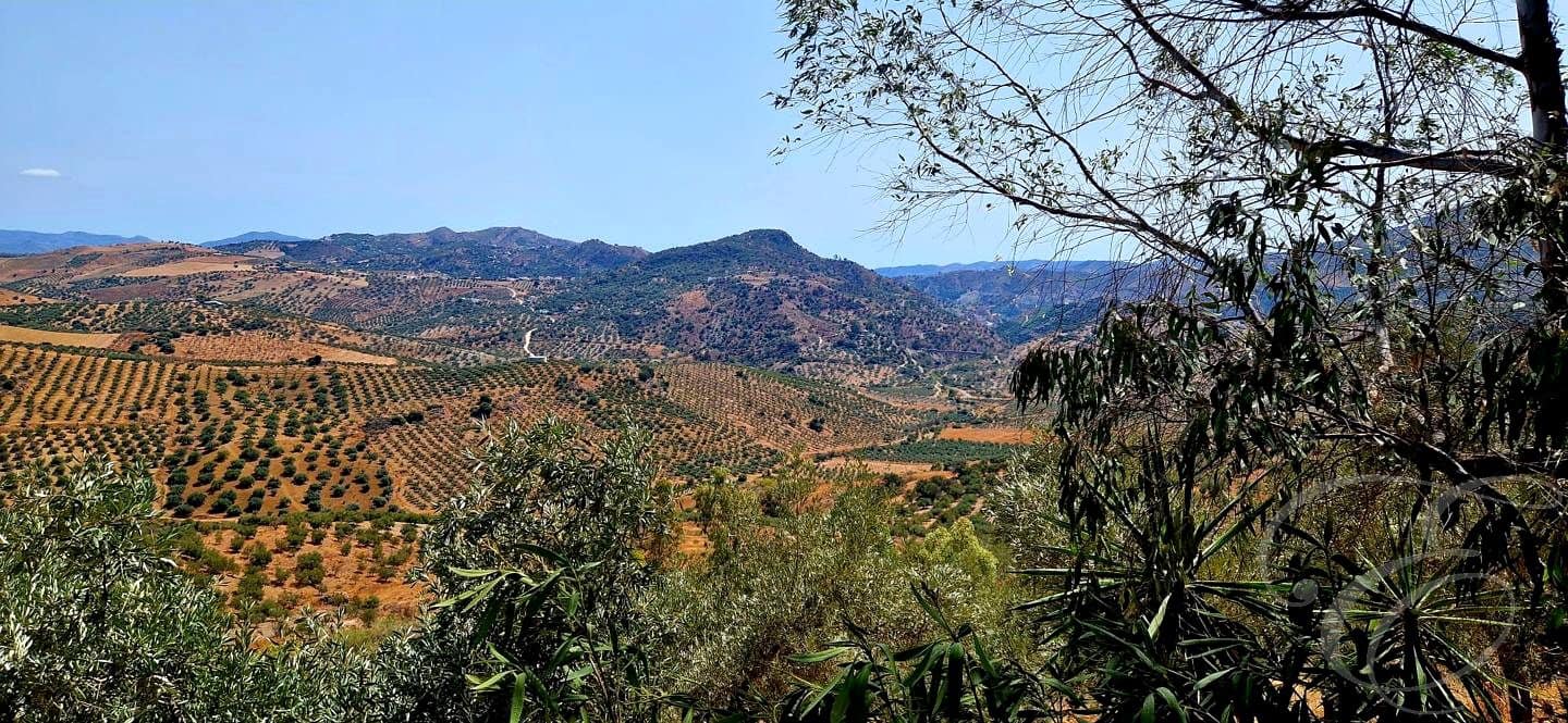 7 sypialnia Finka/Dom wiejski na sprzedaż w Riogordo z basenem garażem - 1 000 000 € (Ref: 9074226)