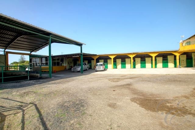 4 slaapkamer Finca/Landhuis te koop in Torre del Mar, Vélez-Málaga met zwembad - € 1.180.000 (Ref: 9074387)