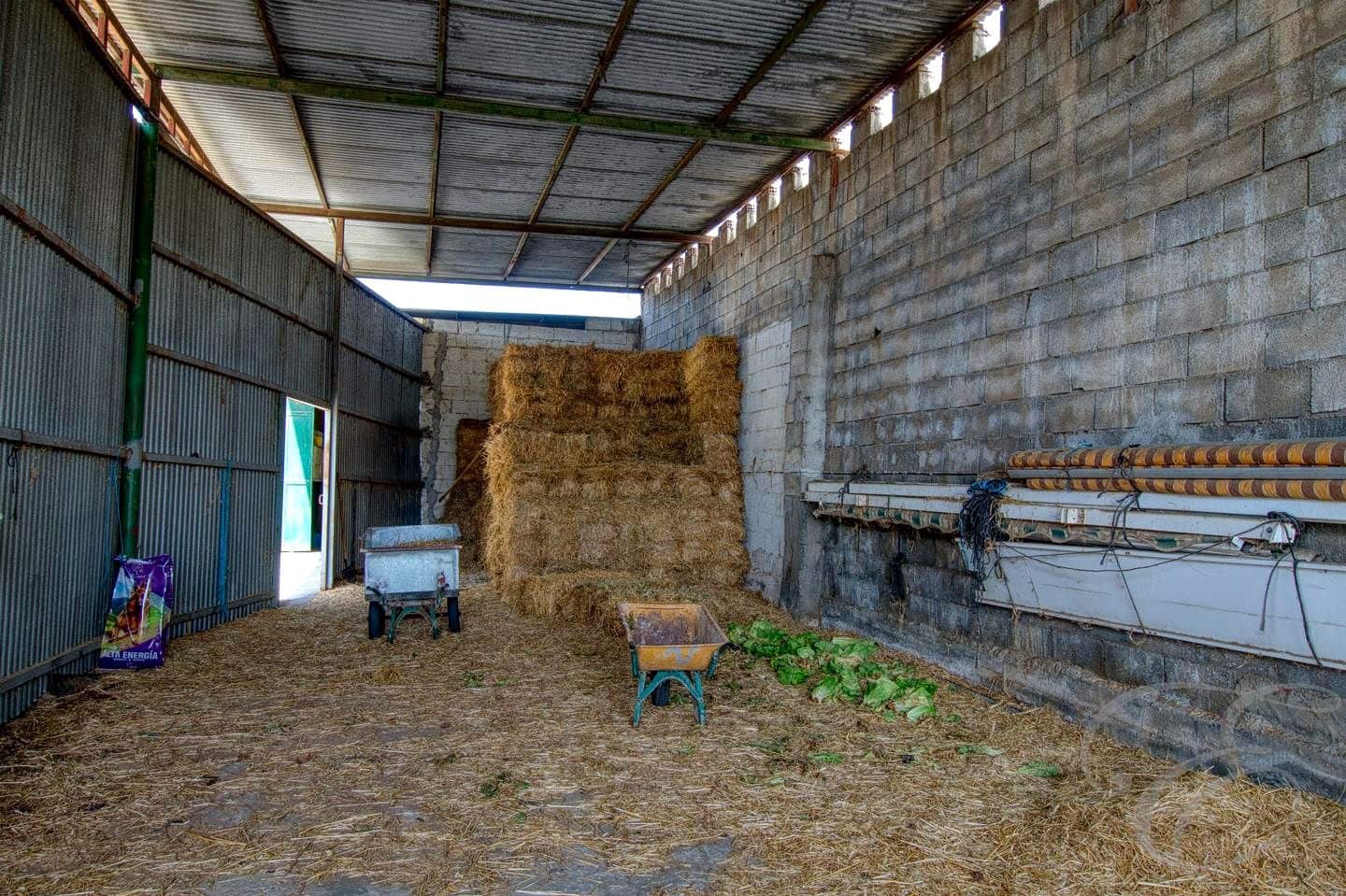 4 soveværelse Finca/Landehus til salg i Torre del Mar med swimmingpool - € 1.180.000 (Ref: 9074387)