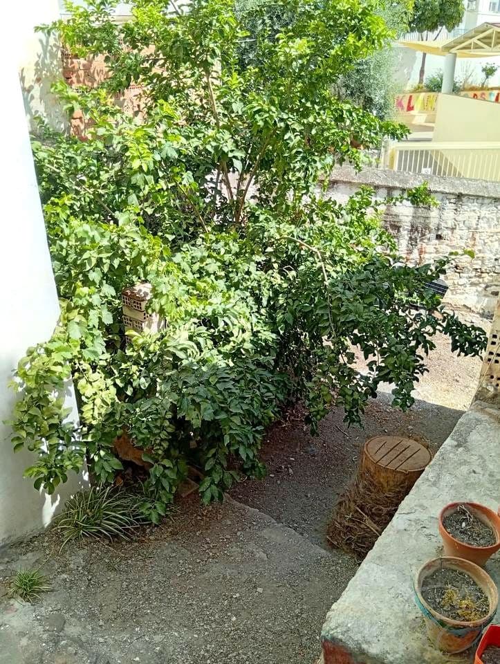 3 soveværelse Villa til salg i Benamargosa - € 99.000 (Ref: 9099794)