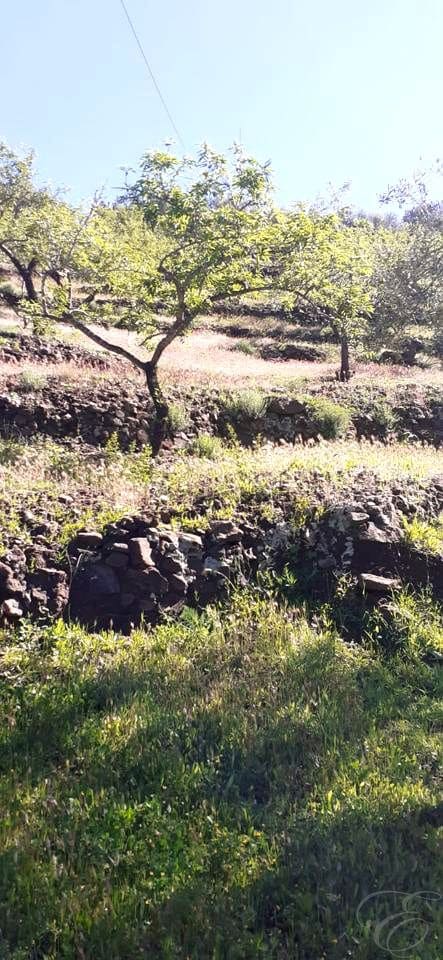 2 soveværelse Finca/Landehus til salg i Velez-Malaga - € 177.500 (Ref: 9099795)