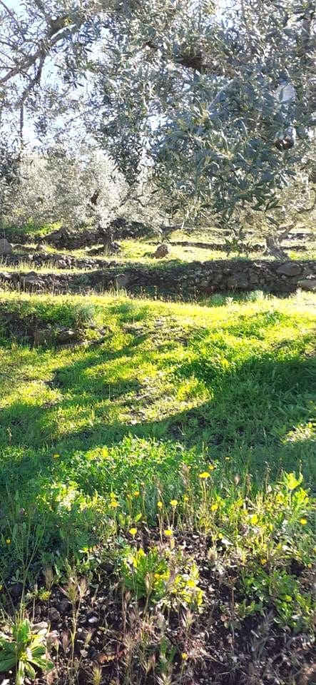 2 soveværelse Finca/Landehus til salg i Velez-Malaga - € 177.500 (Ref: 9099795)