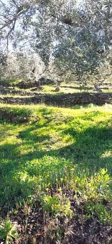 2 soveværelse Finca/Landehus til salg i Vélez-Málaga - € 177.500 (Ref: 9099795)