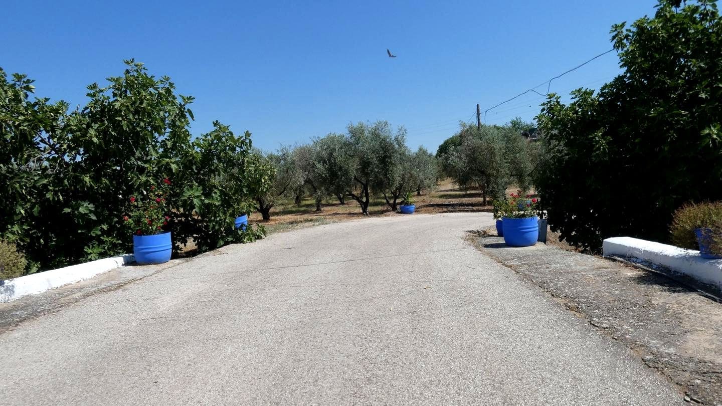 12 soveværelse Finca/Landehus til salg i Montilla med swimmingpool garage - € 1.500.000 (Ref: 9113461)