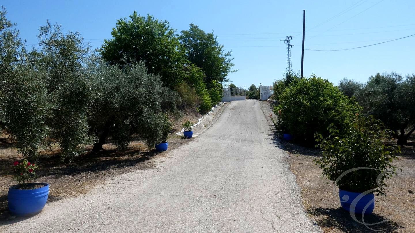 12 soveværelse Finca/Landehus til salg i Montilla med swimmingpool garage - € 1.500.000 (Ref: 9113461)