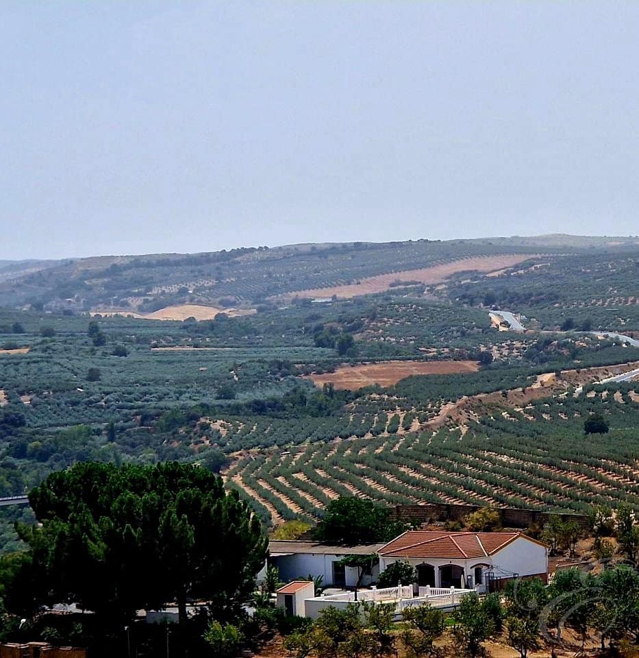 6 soverom Villa til salgs i Moraleda de Zafayona med svømmebasseng garasje - € 430 000 (Ref: 9168287)