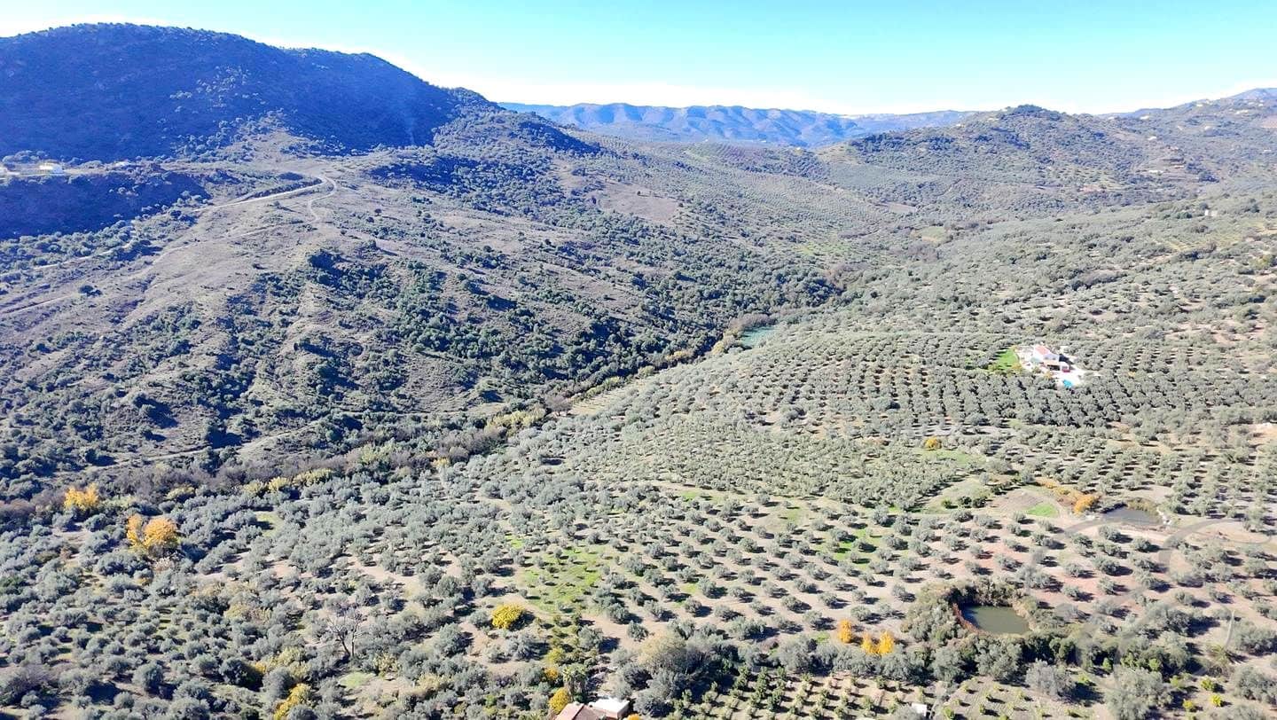 Undeveloped Land for sale in Mondron - € 66,000 (Ref: 9492720)