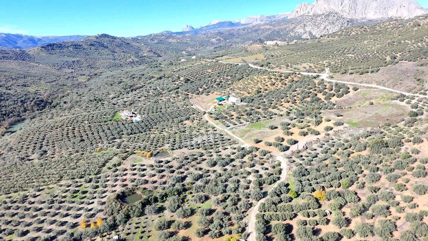 Undeveloped Land for sale in Mondron - € 66,000 (Ref: 9492720)