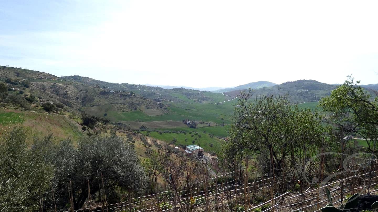 4 bedroom Finca/Country House for sale in Villanueva de la Concepcion with garage - € 260,000 (Ref: 9500693)