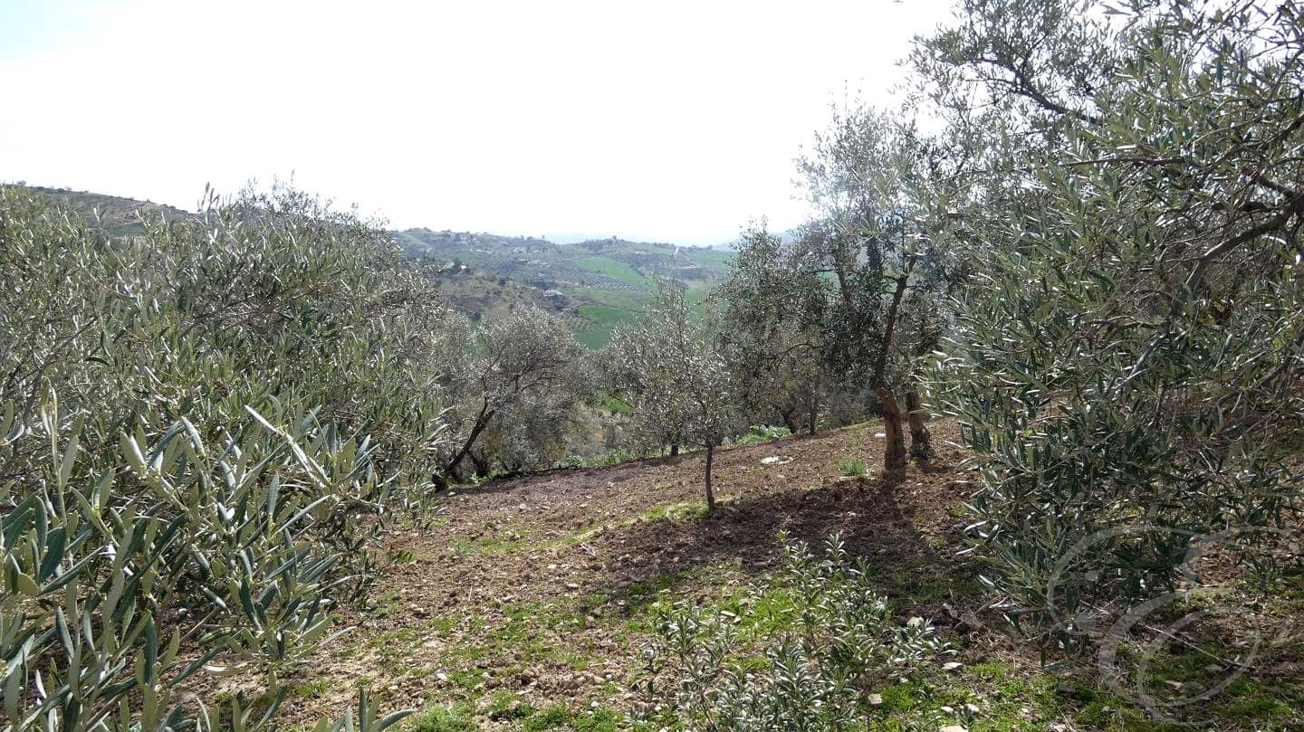 4 bedroom Finca/Country House for sale in Villanueva de la Concepcion with garage - € 260,000 (Ref: 9500693)