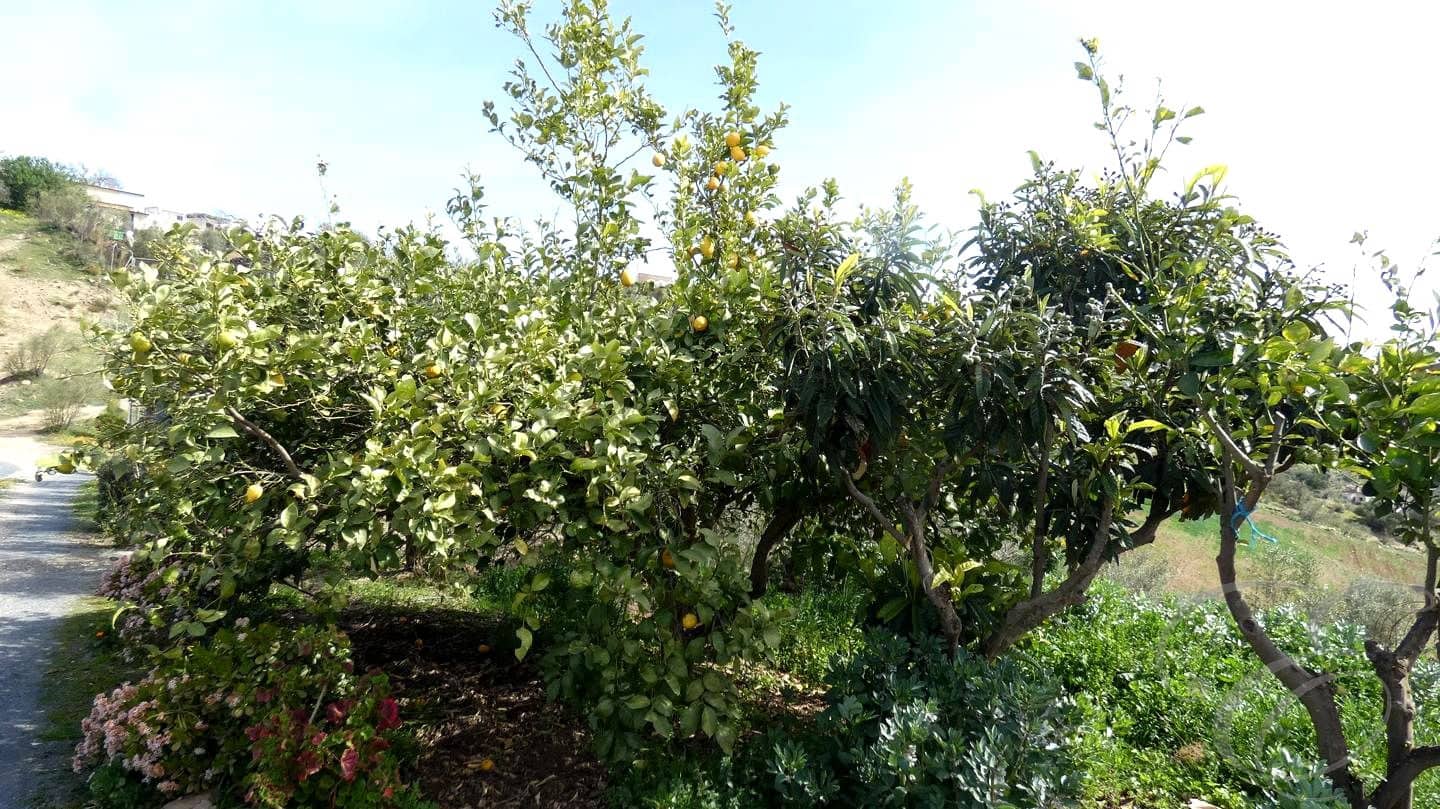 4 makuuhuone Maalaistalo myytävänä paikassa Villanueva de la Concepcion mukana 
autotalli - 260 000 € (Ref: 9500693)