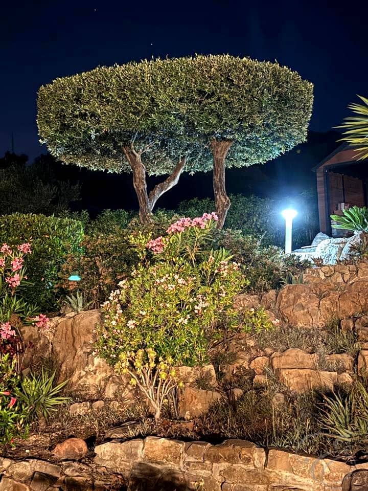 4 makuuhuone Huvila myytävänä paikassa Alcaucin mukana uima-altaan 
autotalli - 810 000 € (Ref: 9645871)