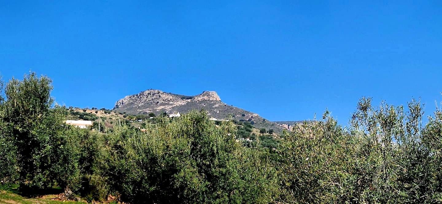 4 makuuhuone Huvila myytävänä paikassa Alcaucin mukana uima-altaan 
autotalli - 810 000 € (Ref: 9645871)