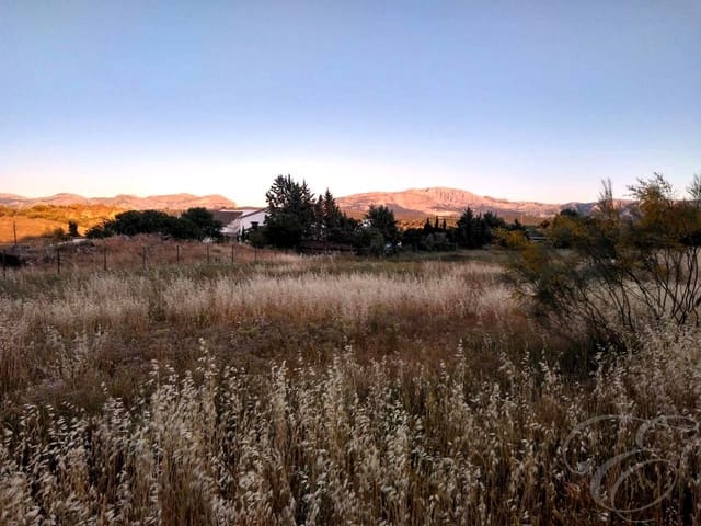 11 chambre Finca/Maison de Campagne à vendre à Archidona avec piscine - 489 000 € (Ref: 9669276)