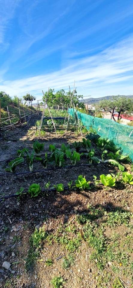 4 soverom Finca/Herregård til salgs i Velez-Malaga med garasje - € 395 000 (Ref: 9771033)