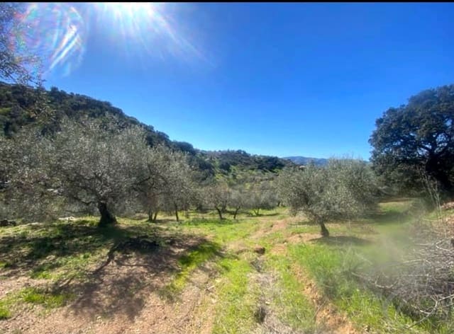 Undeveloped Land for sale in Riogordo - € 43,000 (Ref: 9863694)