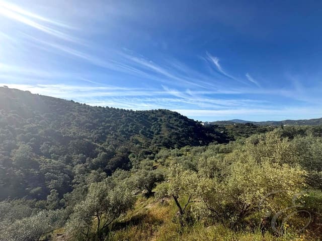 Undeveloped Land for sale in Riogordo - € 43,000 (Ref: 9863694)