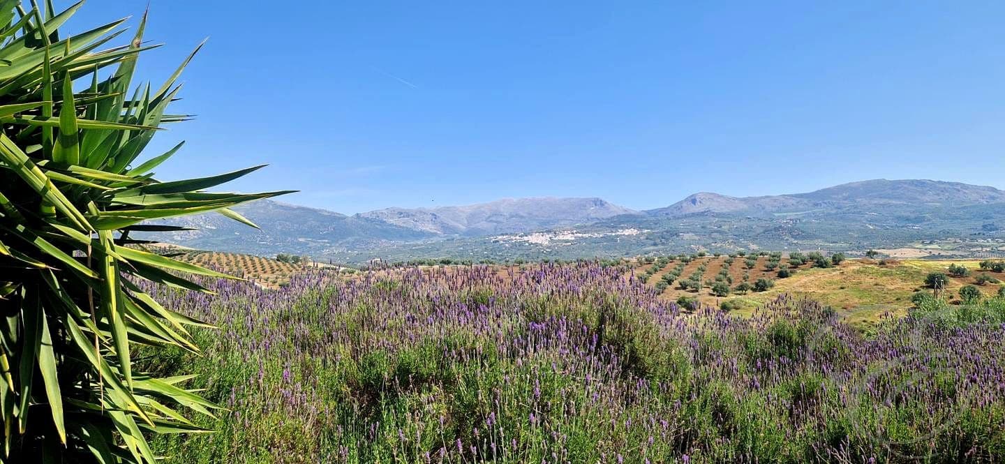 3 bedroom Villa for sale in Vinuela with pool garage - € 590,000 (Ref: 9866117)