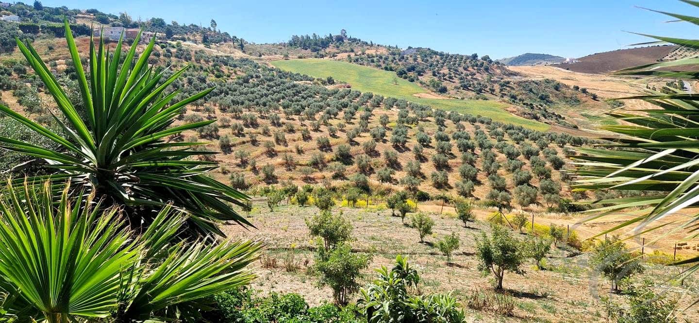 4 bedroom Finca/Country House for sale in Villanueva de la Concepcion with pool garage - € 287,000 (Ref: 9891106)