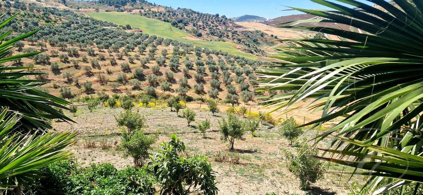 4 bedroom Finca/Country House for sale in Villanueva de la Concepcion with pool garage - € 287,000 (Ref: 9891106)