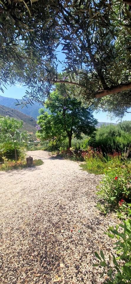 4 bedroom Finca/Country House for sale in Alcaucin with pool garage - € 499,000 (Ref: 9922853)