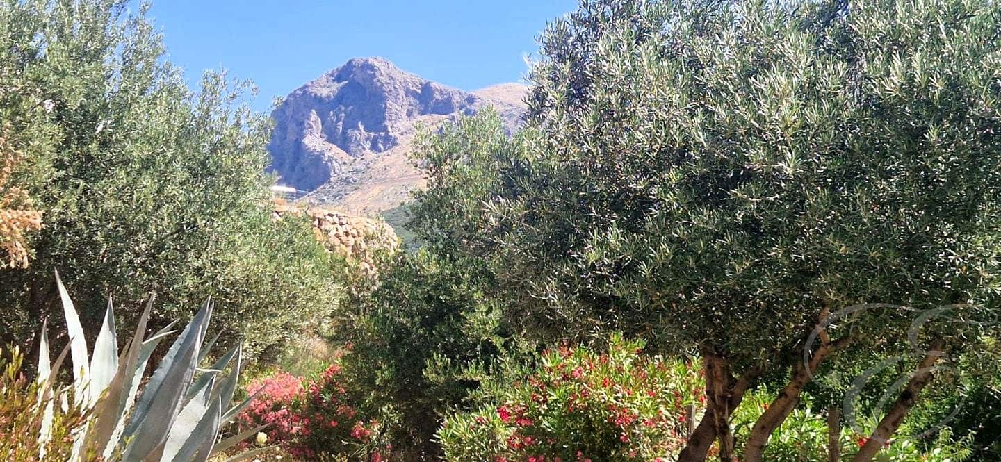 4 bedroom Finca/Country House for sale in Alcaucin with pool garage - € 499,000 (Ref: 9922853)