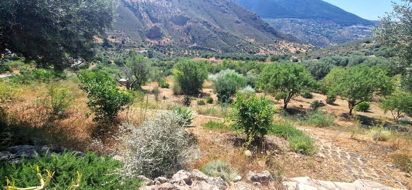 4 bedroom Finca/Country House for sale in Alcaucin with pool garage - € 499,000 (Ref: 9922853)