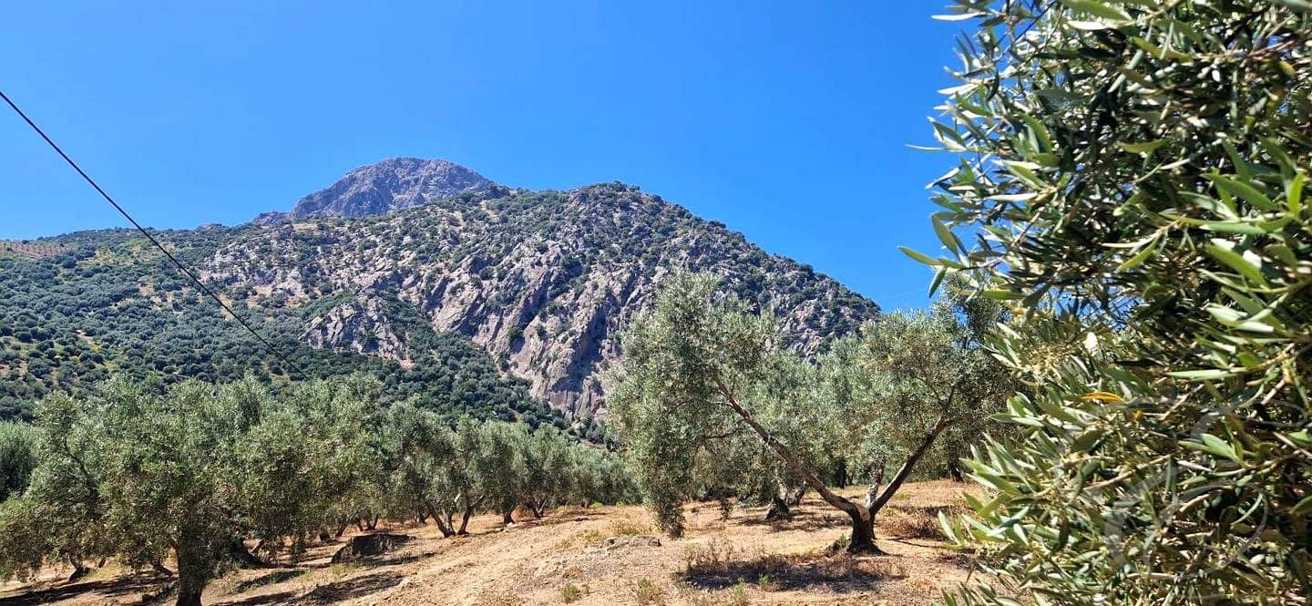 1 bedroom Finca/Country House for sale in Alfarnatejo - € 130,000 (Ref: 9925172)