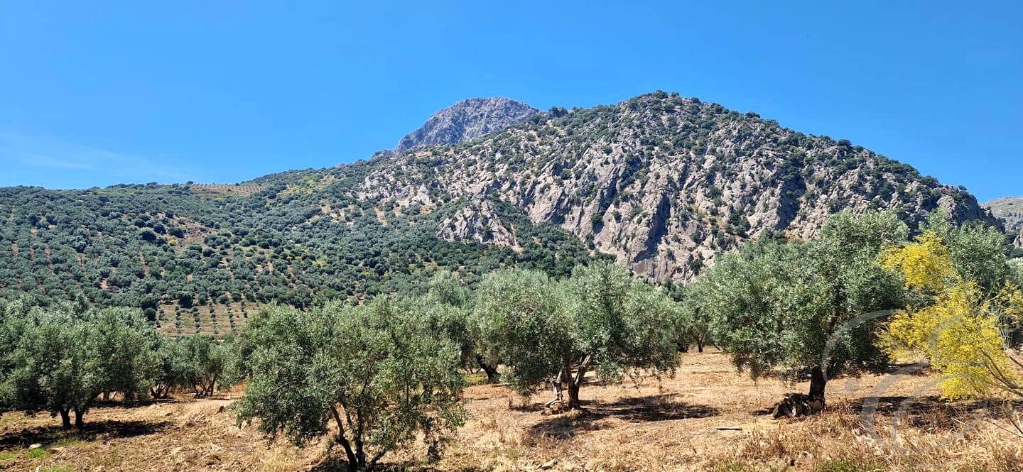 1 bedroom Finca/Country House for sale in Alfarnatejo - € 130,000 (Ref: 9925172)