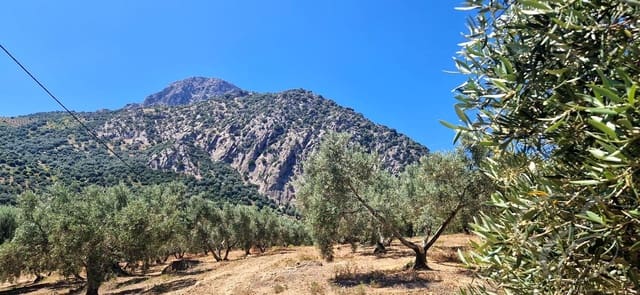 1 chambre Finca/Maison de Campagne à vendre à Alfarnatejo - 130 000 € (Ref: 9925172)