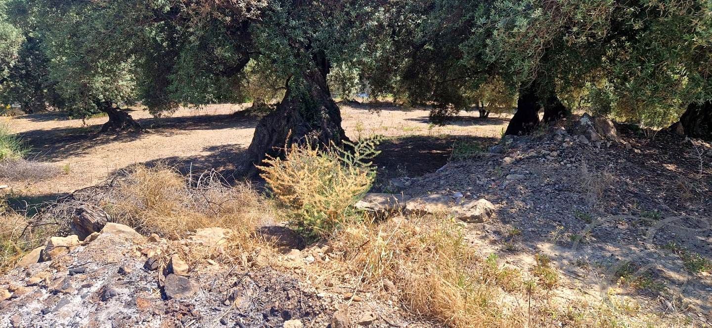 1 bedroom Finca/Country House for sale in Alfarnatejo - € 130,000 (Ref: 9925172)