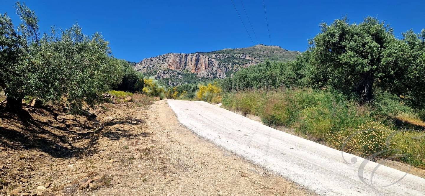 1 bedroom Finca/Country House for sale in Alfarnatejo - € 130,000 (Ref: 9925172)