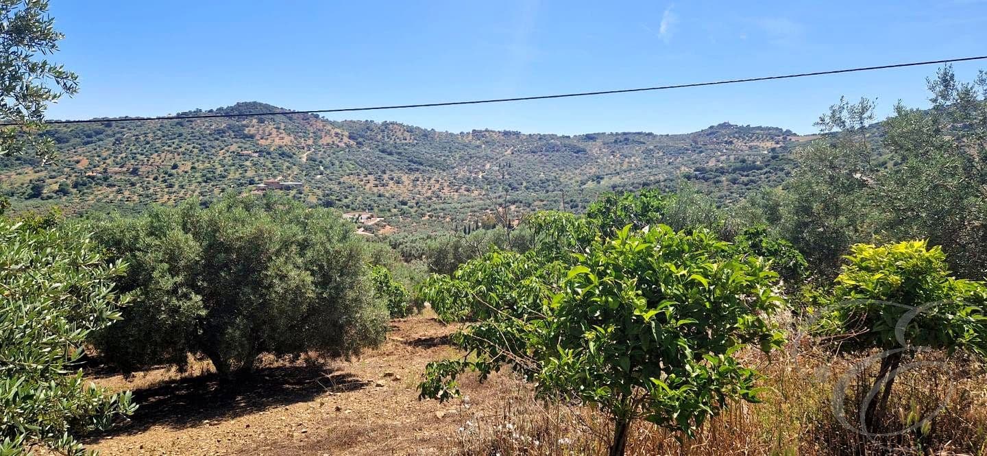 1 bedroom Finca/Country House for sale in Alfarnatejo - € 130,000 (Ref: 9925172)