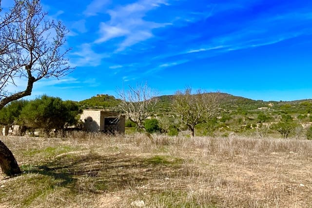 Bauplatz zu verkaufen in Alqueria Blanca, Santanyí - 2.000.000 € (Ref: 10183157)
