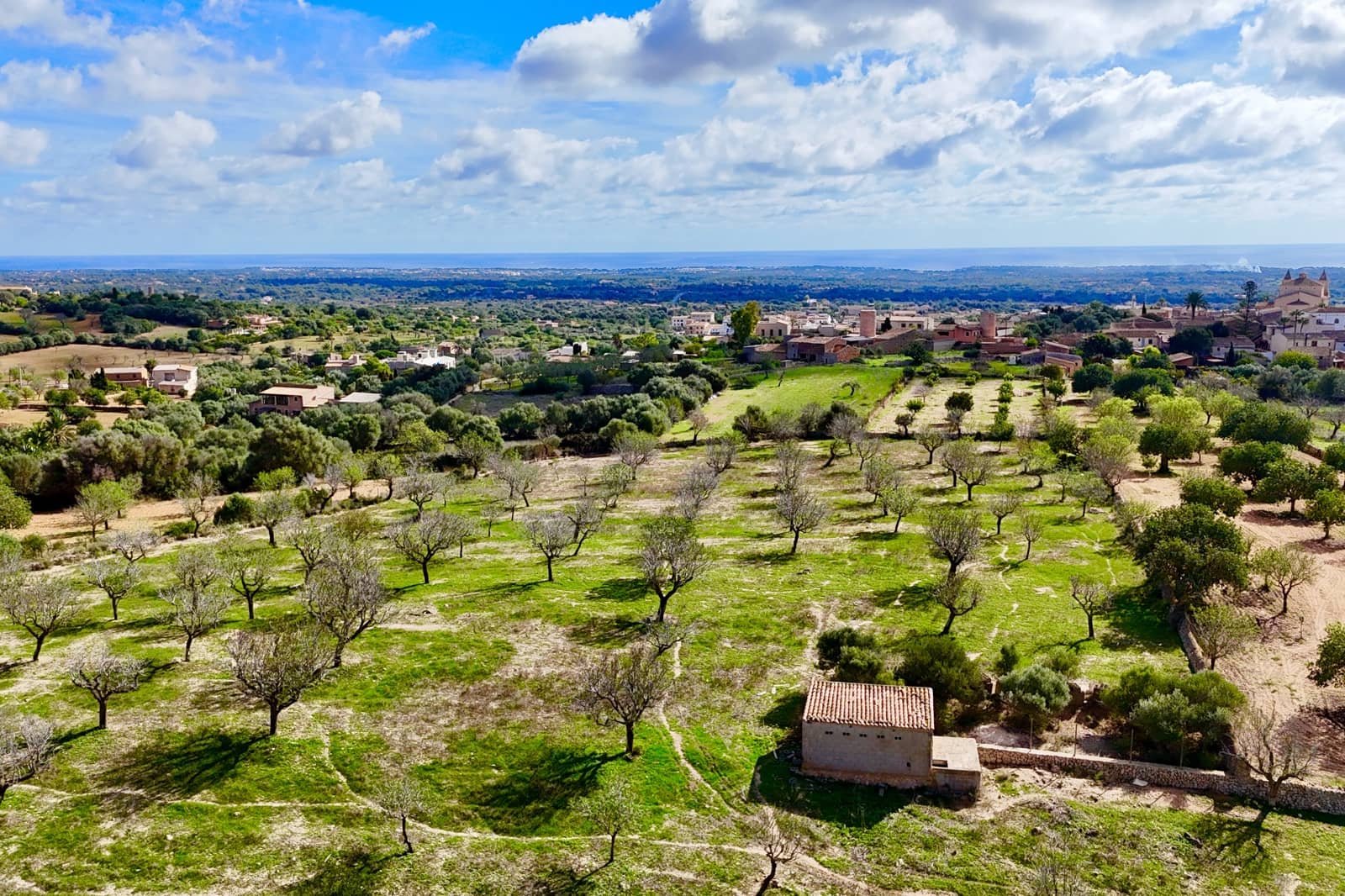 Bauplatz zu verkaufen in Alqueria Blanca - 2.000.000 € (Ref: 10183157)