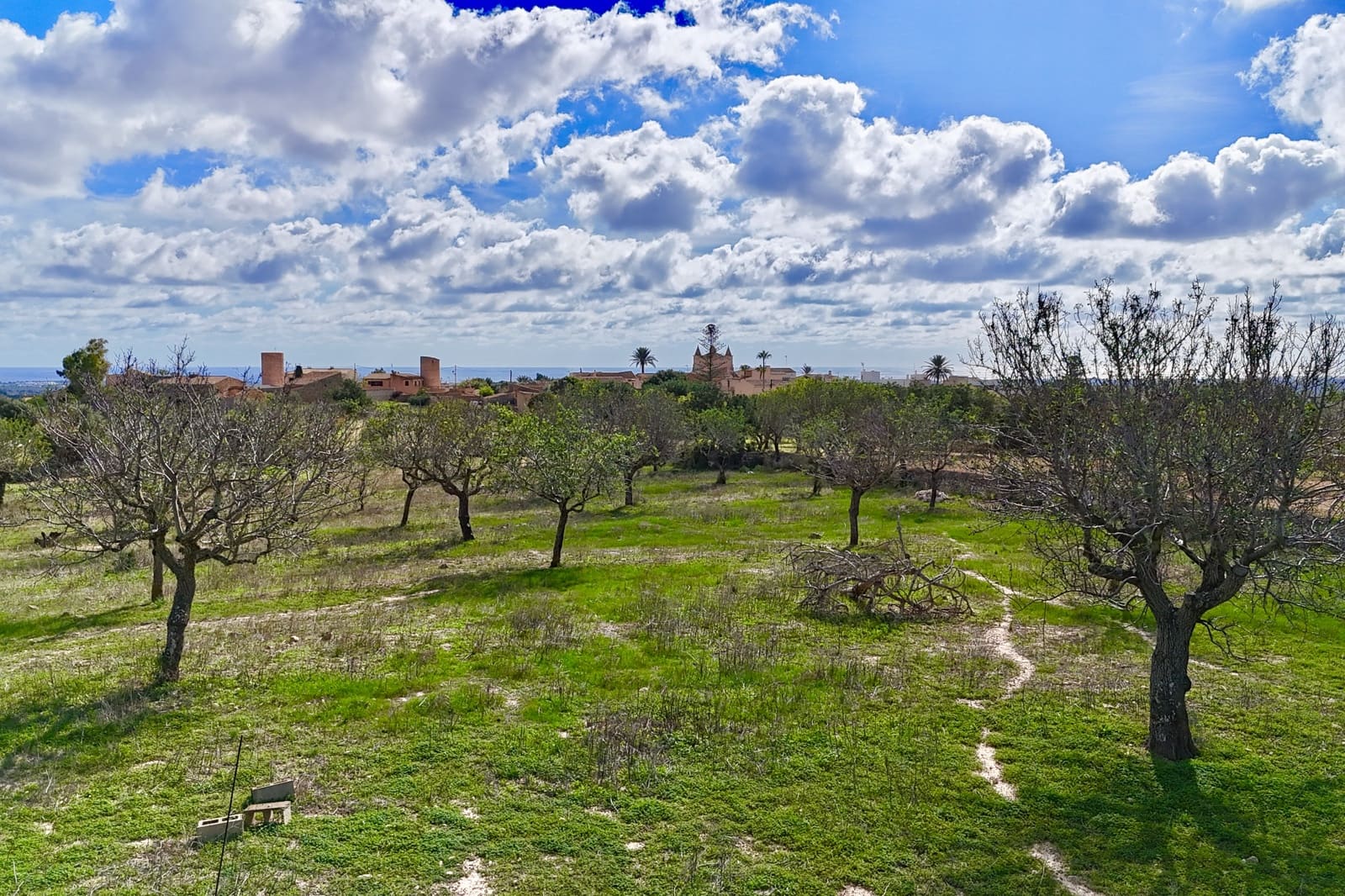 Bauplatz zu verkaufen in Alqueria Blanca - 2.000.000 € (Ref: 10183157)