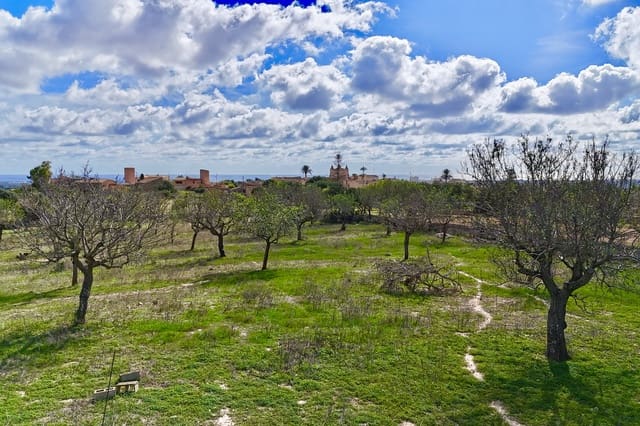 Bauplatz zu verkaufen in Alqueria Blanca, Santanyí - 2.000.000 € (Ref: 10183157)