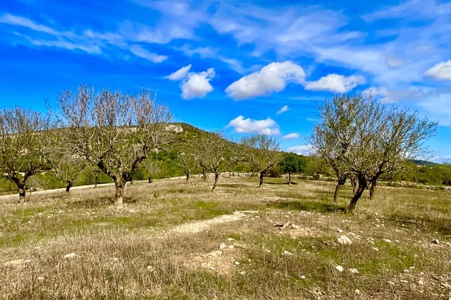 Bauplatz zu verkaufen in Alqueria Blanca, Santanyí - 2.000.000 € (Ref: 10183157)