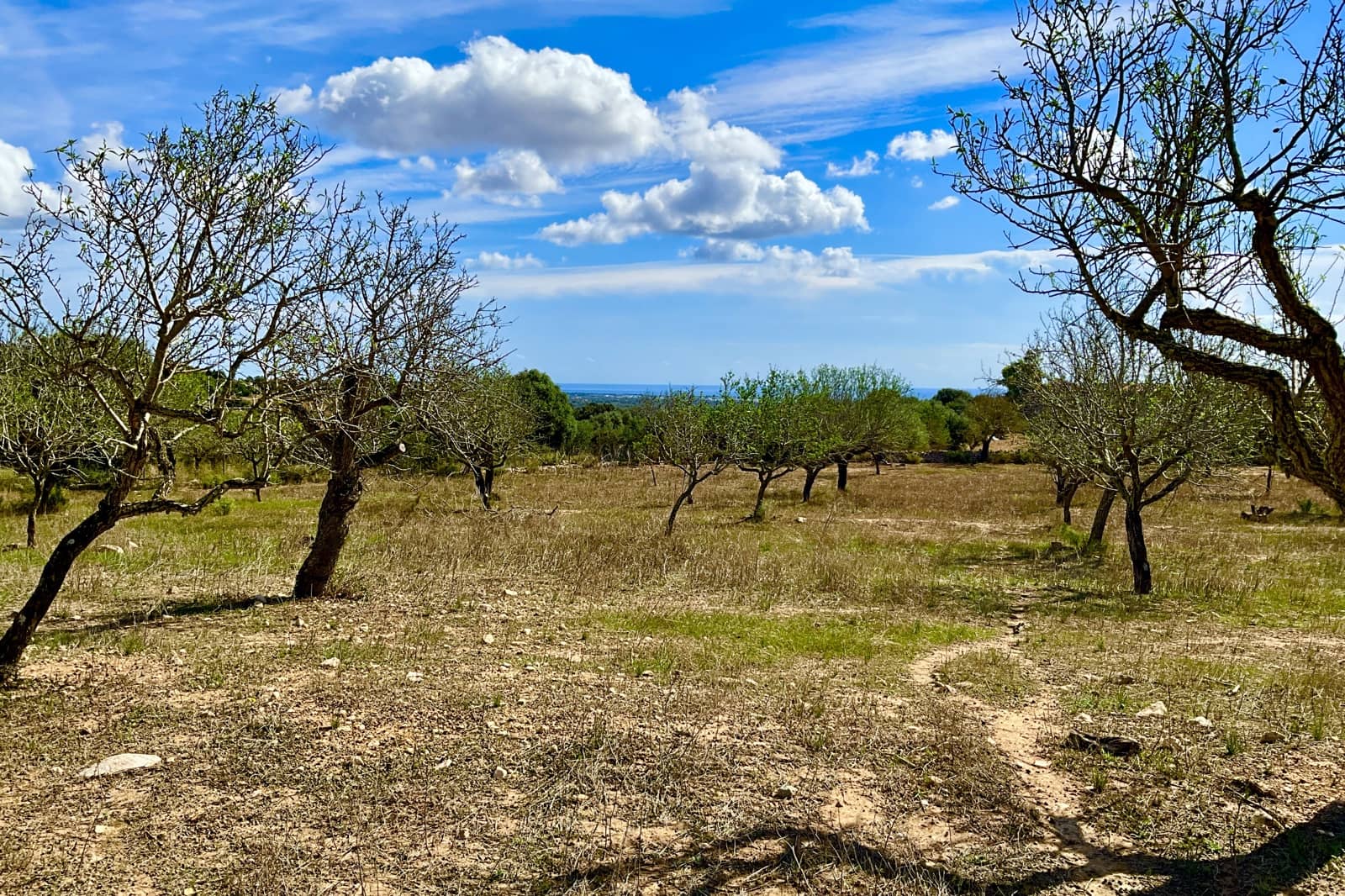 Bauplatz zu verkaufen in Alqueria Blanca - 2.000.000 € (Ref: 10183157)