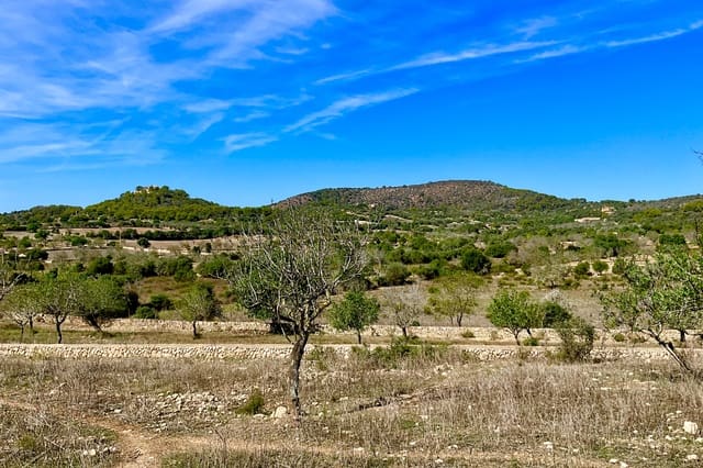 Bauplatz zu verkaufen in Alqueria Blanca, Santanyí - 2.000.000 € (Ref: 10183157)