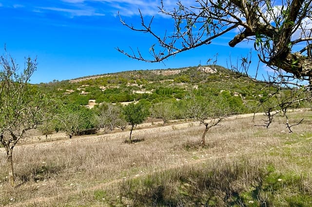 Bauplatz zu verkaufen in Alqueria Blanca, Santanyí - 2.000.000 € (Ref: 10183157)