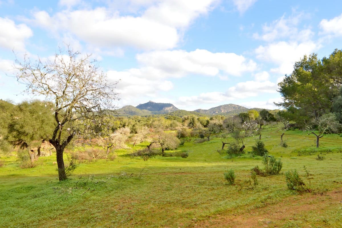 Byggetomt til salgs i Es Carritxo / El Carritxo - € 590 000 (Ref: 9314478)