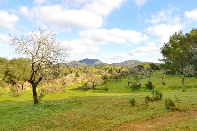 Byggegrund til salg i Es Carritxo / El Carritxo, Felanitx - € 590.000 (Ref: 9314478)