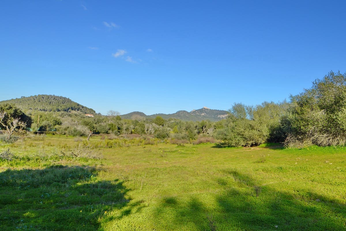 Byggetomt til salgs i Es Carritxo / El Carritxo - € 590 000 (Ref: 9314478)