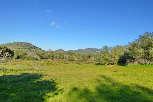 Byggegrund til salg i Es Carritxo / El Carritxo, Felanitx - € 590.000 (Ref: 9314478)