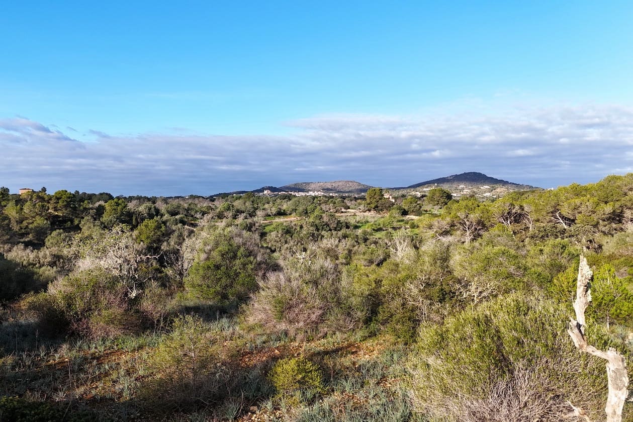 Building Plot for sale in Alqueria Blanca - € 850,000 (Ref: 9325196)