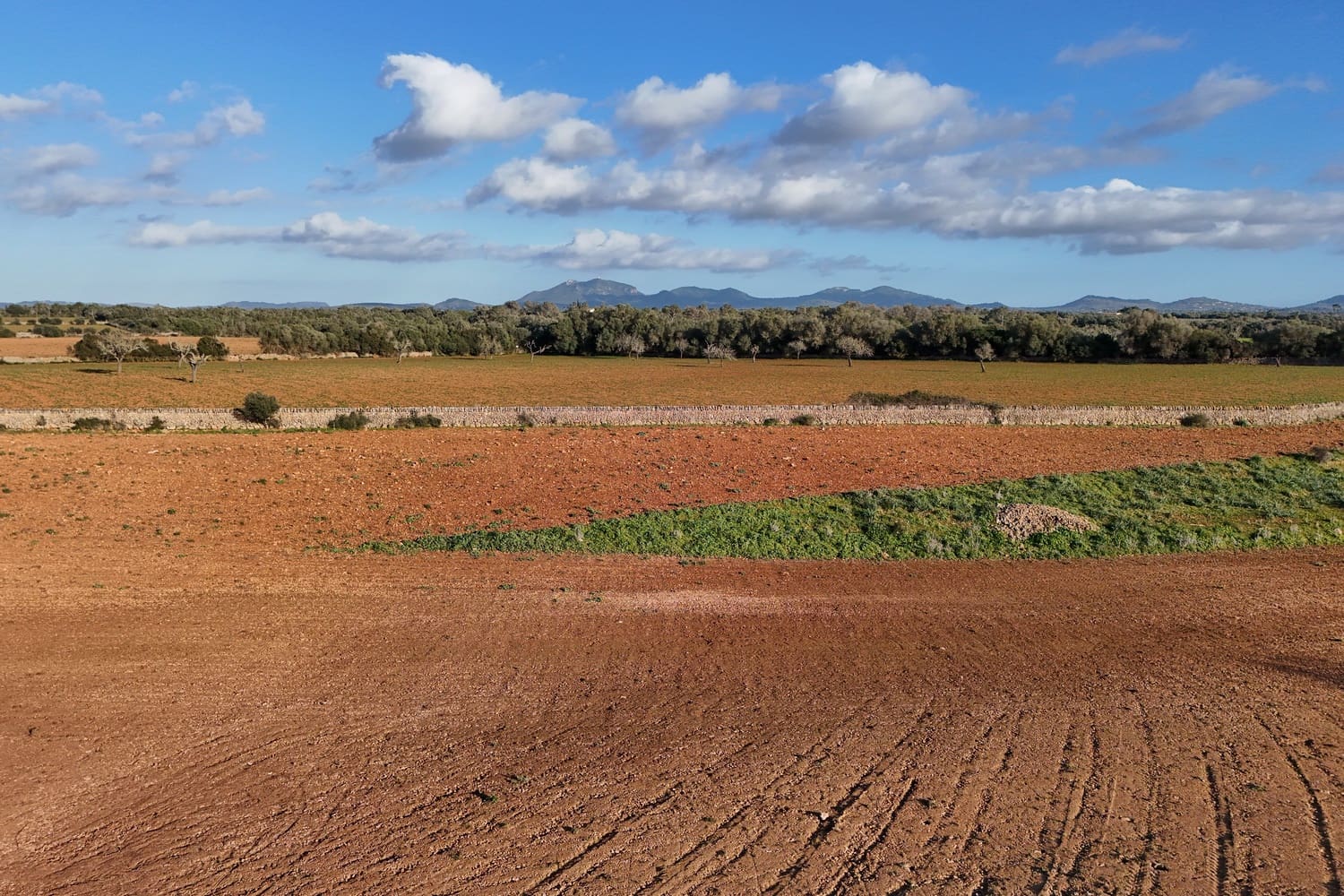 Terrain à Bâtir à vendre à Campos - 320 000 € (Ref: 9325198)