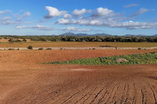 Bauplatz zu verkaufen in Campos - 320.000 € (Ref: 9325198)