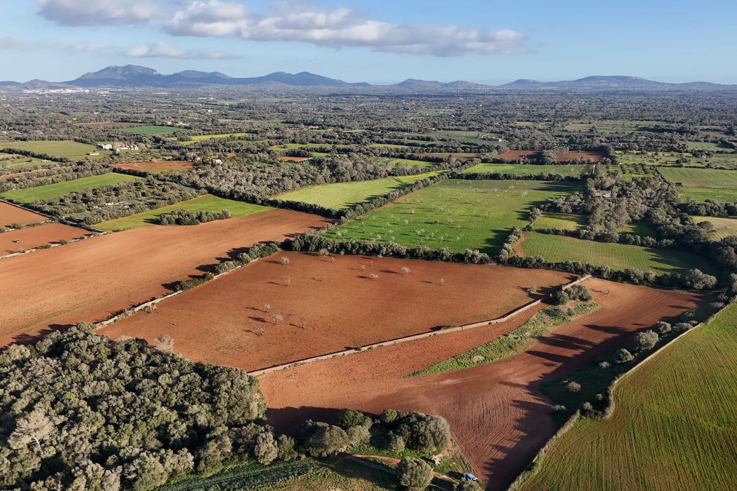 Terrain à Bâtir à vendre à Campos - 320 000 € (Ref: 9325198)