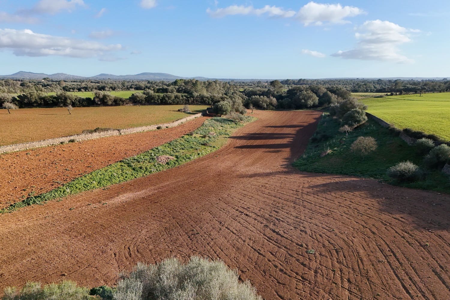 Terrain à Bâtir à vendre à Campos - 320 000 € (Ref: 9325198)